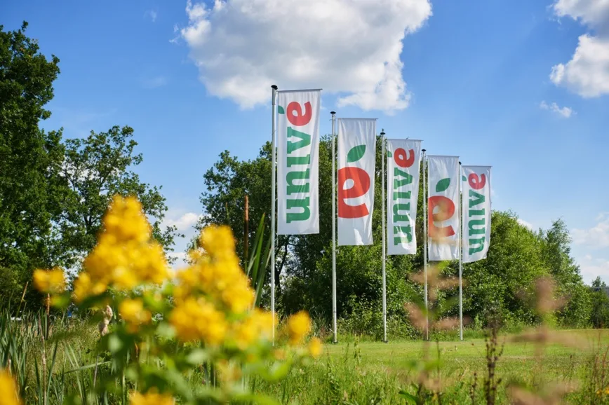 /images/flags.webp